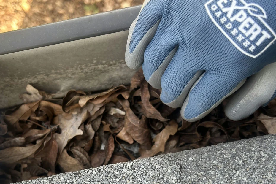 Gutter Cleaning Whitehall