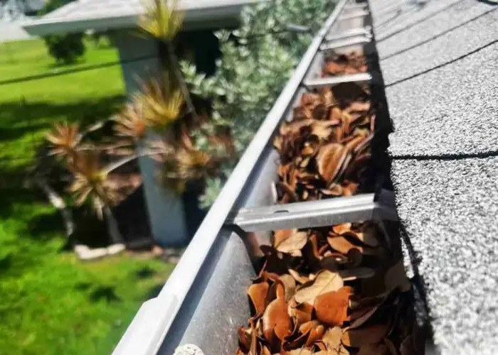 Gutter Cleaning Whitehall home page